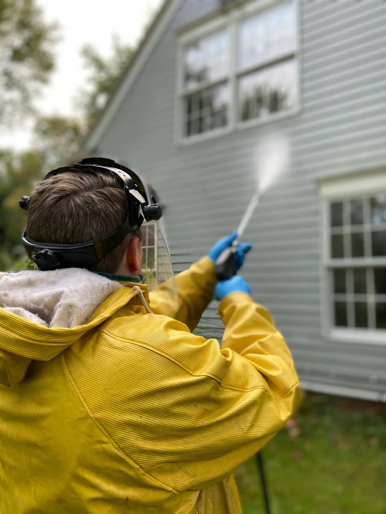 Roof Cleaning in Action